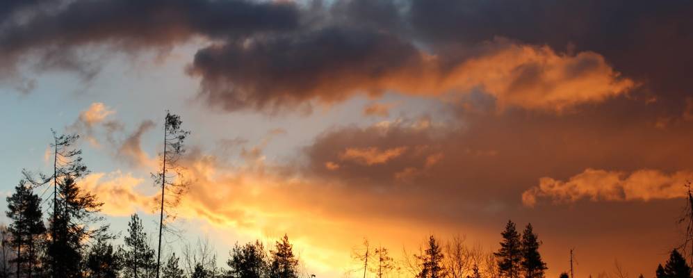 
            Фотография Никитинской