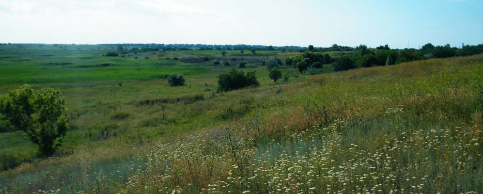 
            Фотография Коржовки