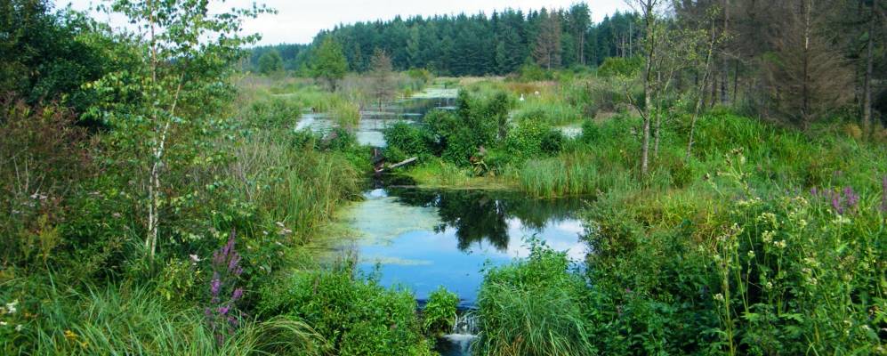 
            Фотография Жемыславля