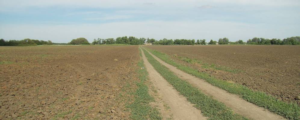 
            Фотография Кута