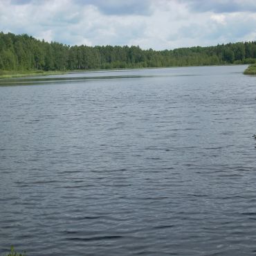 Подосиновка