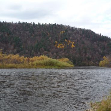 Солонцовый