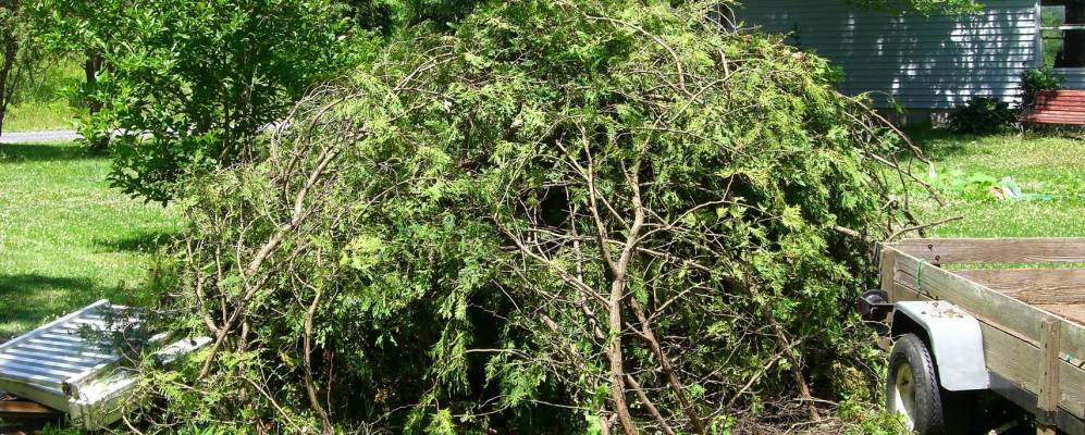 
            Фотография Миноы