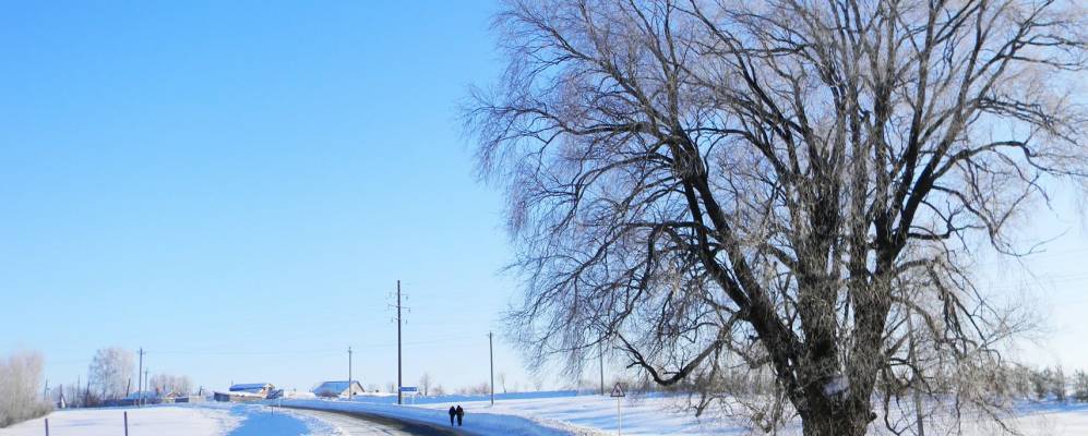 Фотография Аликово