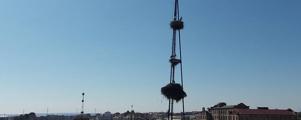 Фотография Андосильи