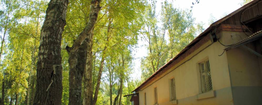 
            Фотография Владычино