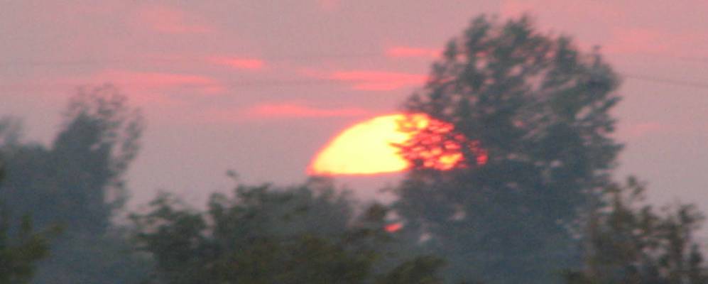 
            Фотография Трибано