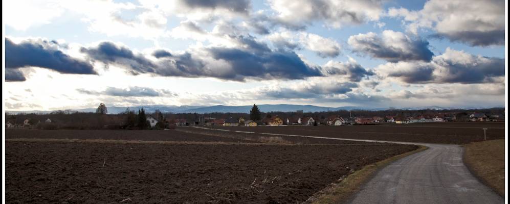 Фотография Ферница