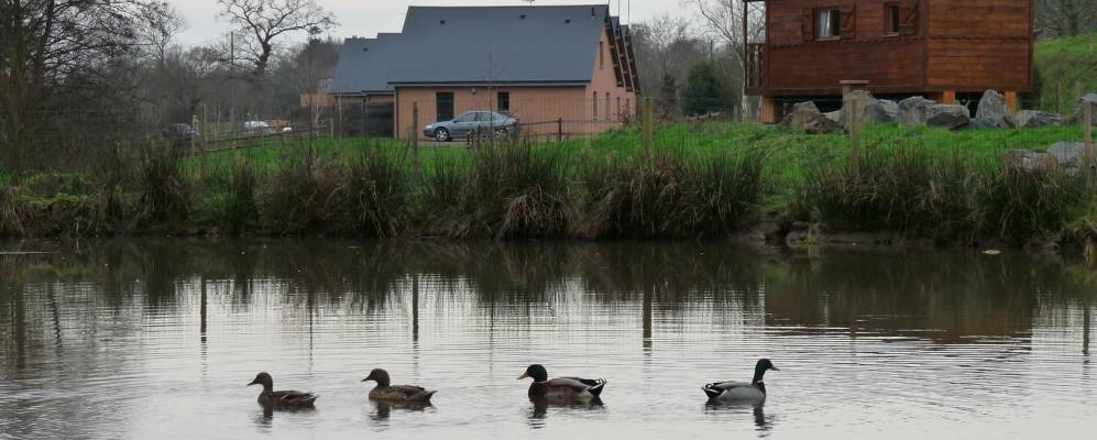 
            Фотография Сен-Мартен-де-Шама