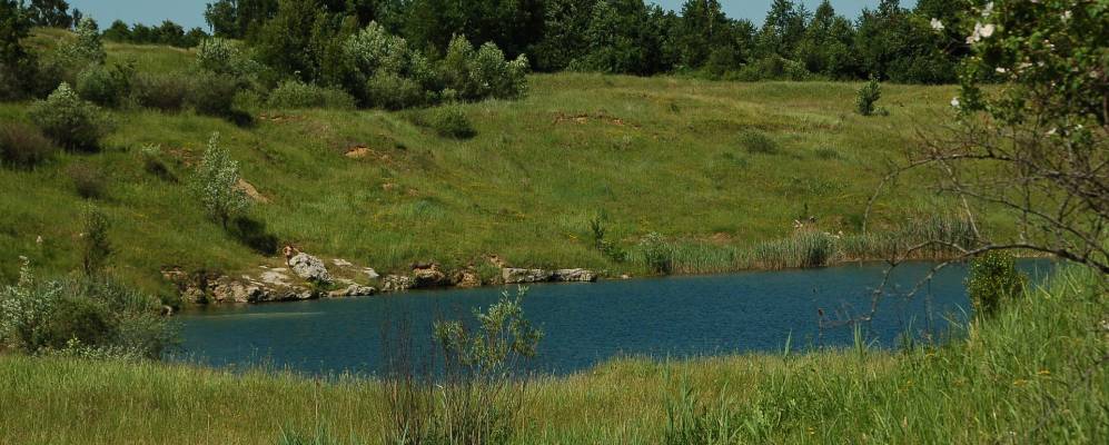 
            Фотография Новошины