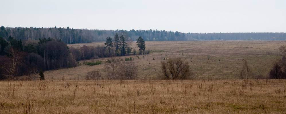 
            Фотография Кривцово