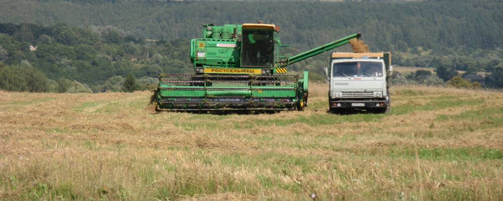 
            Фотография деревни Зеленые Воды