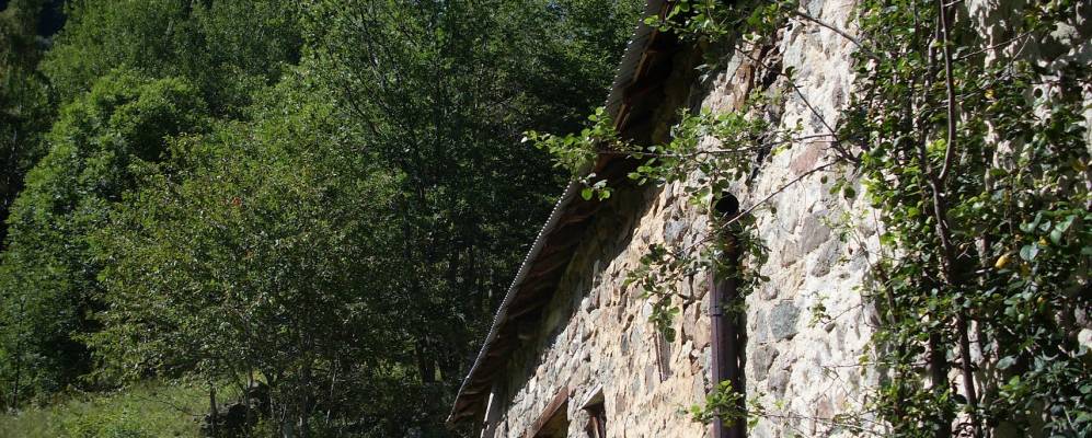 
            Фотография Champoléon