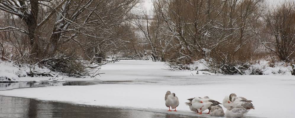 
            Фотография Лутово