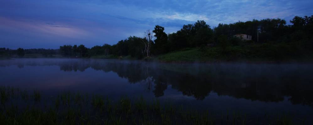 
            Фотография Берёзок