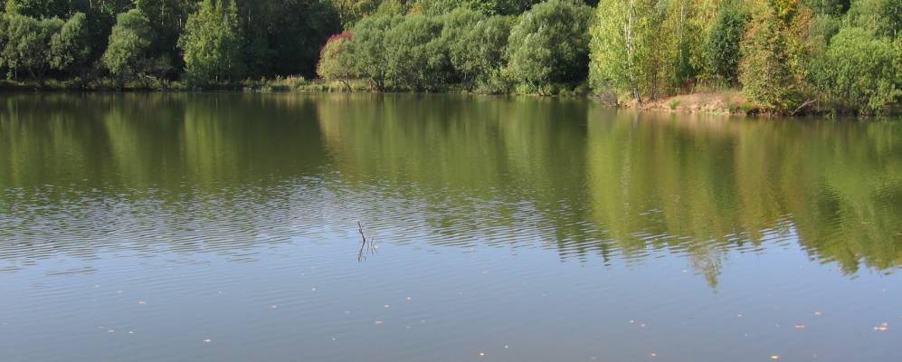 
            Фотография Криволучья