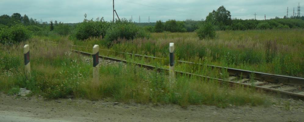 
            Фотография Оголихи