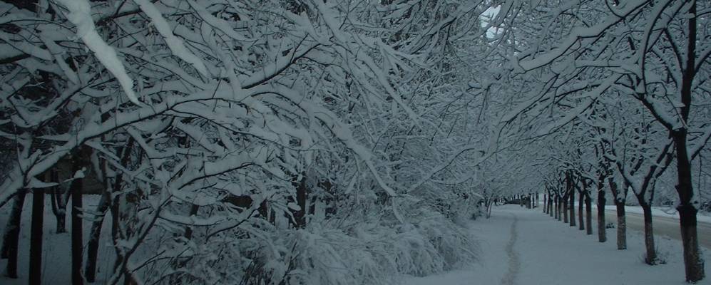 
            Фотография Рыбки