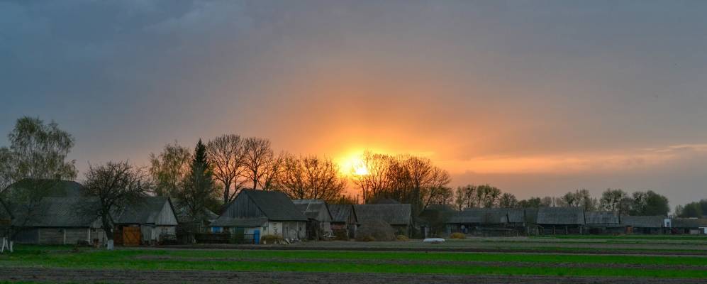 
            Фотография Гривяток