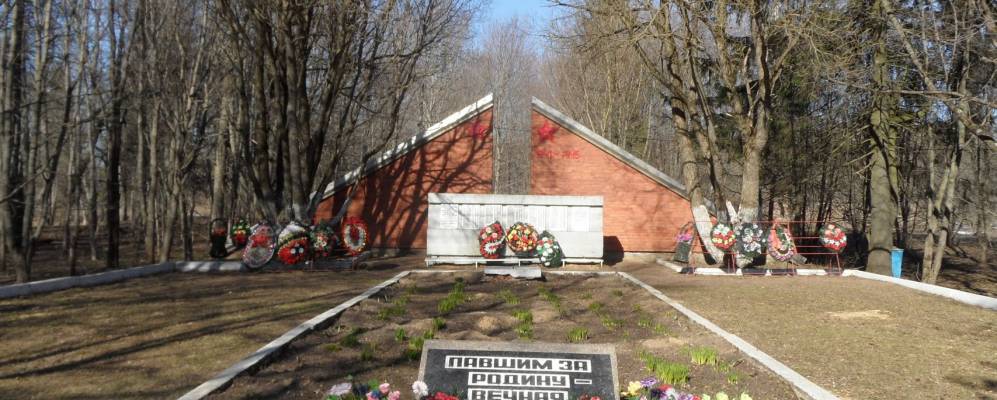 
            Фотография Подозванья