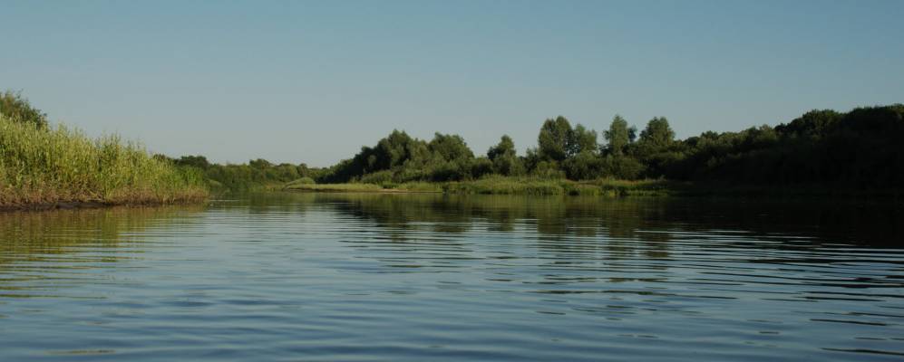 
            Фотография Высокого