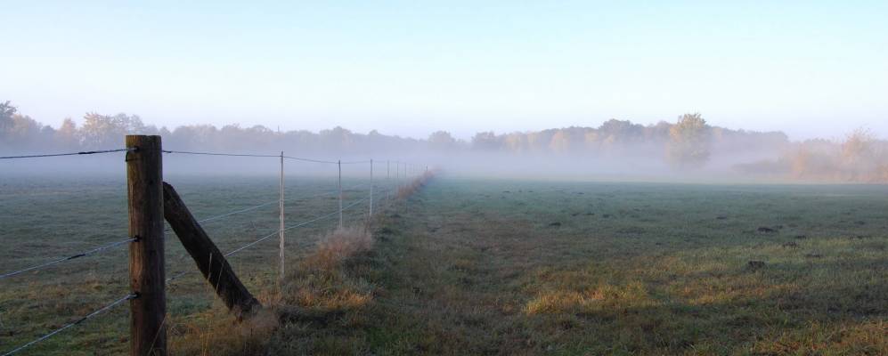 
            Фотография Фогельсена