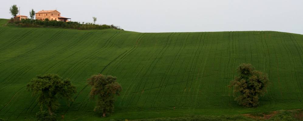 
            Фотография Поджо-Сан-Марчелло