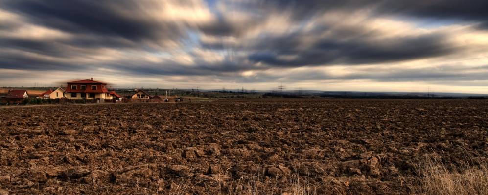 
            Фотография Орэха