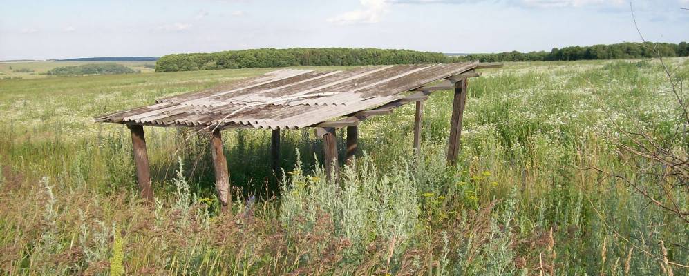
            Фотография Старых Выселок