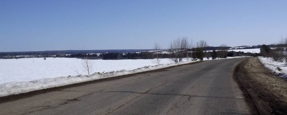 Фотография Чудиновских Шишкарей