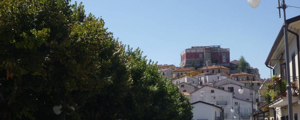 
            Фотография Беллы