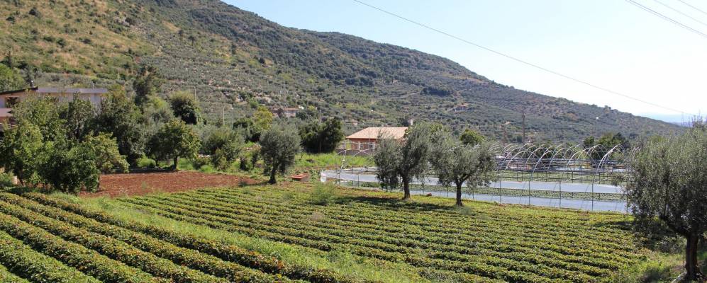 
            Фотография Боккадассе