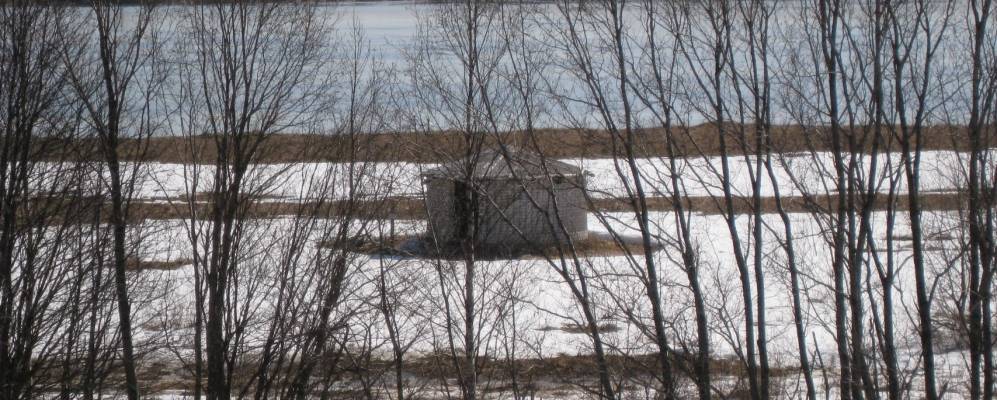 
            Фотография Выставки Горбачихи