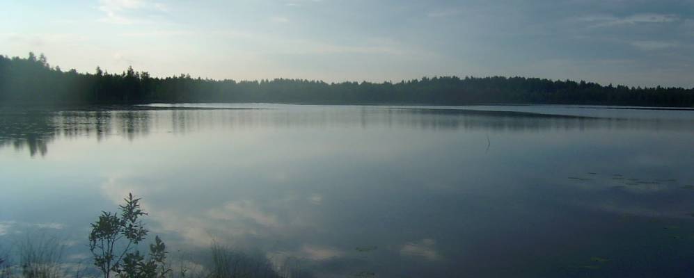 
            Фотография Новоселок