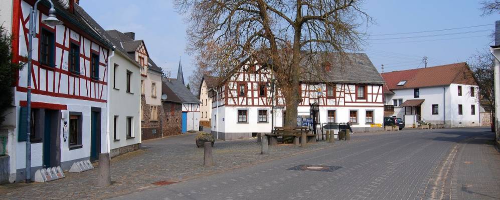 
            Фотография Виршема