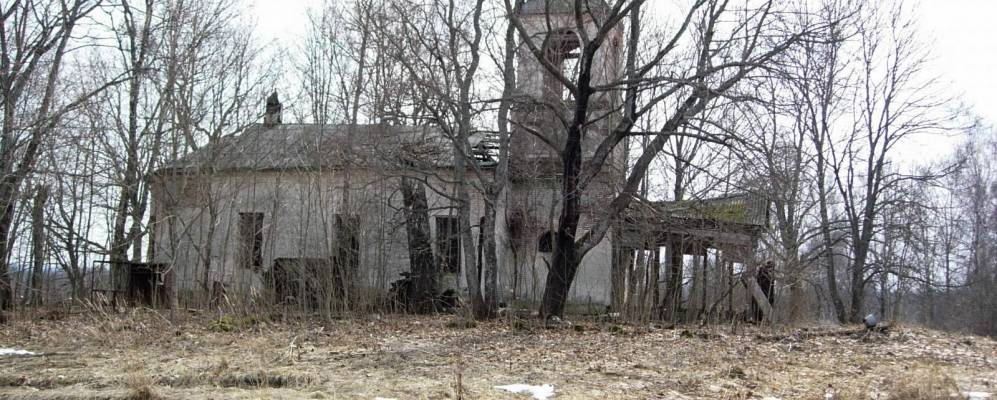 
            Фотография Луга