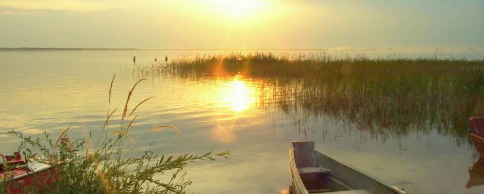 
            Фотография Омельно