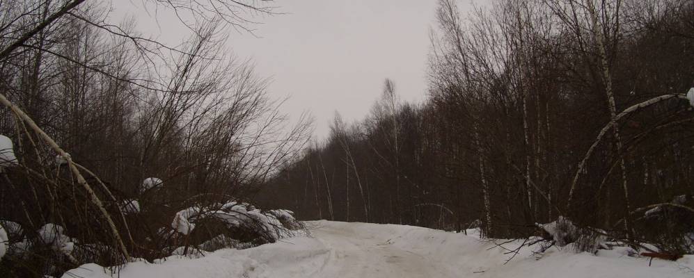 
            Фотография Блюдо