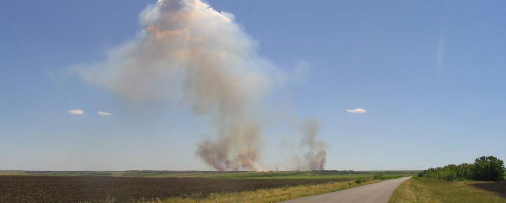 
            Фотография Широковского