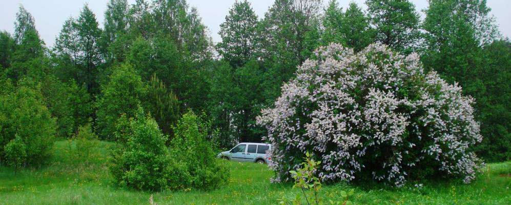 
            Фотография деревни Паникли