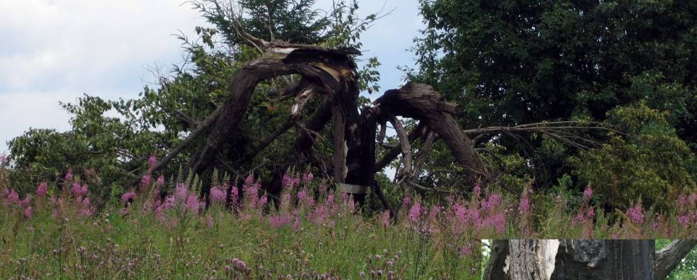 
            Фотография Симоново