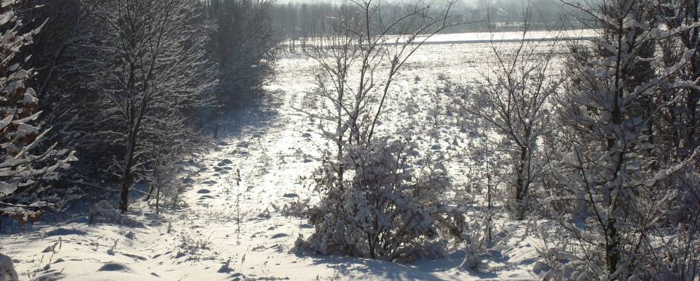 
            Фотография Черняевки