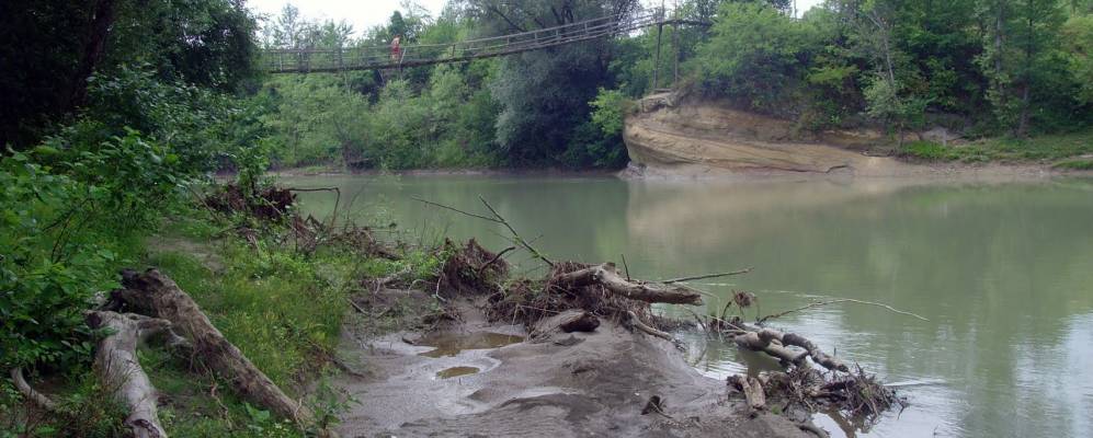 
            Фотография Новых Полян