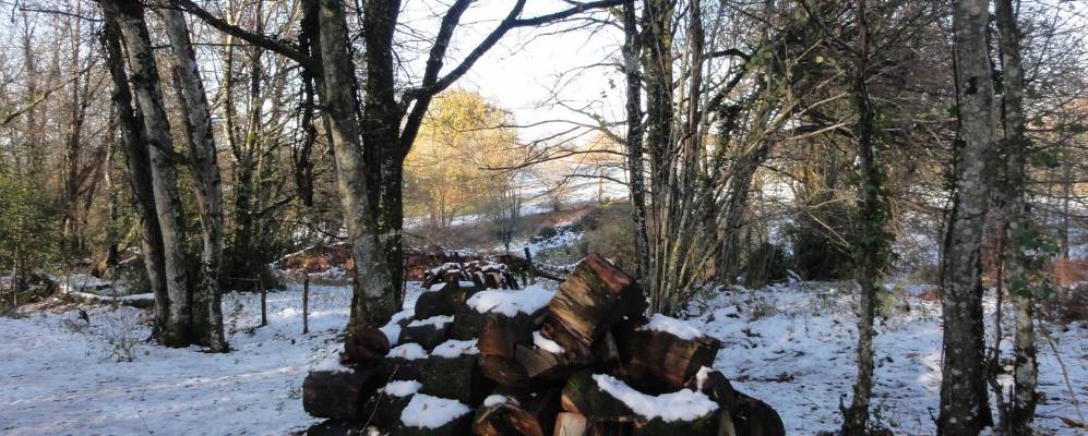 
            Фотография Сент-Элали