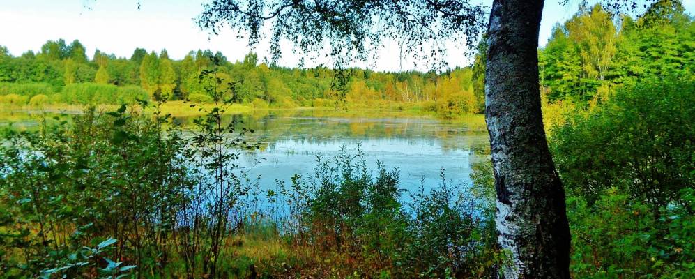 Фотография Рогвино