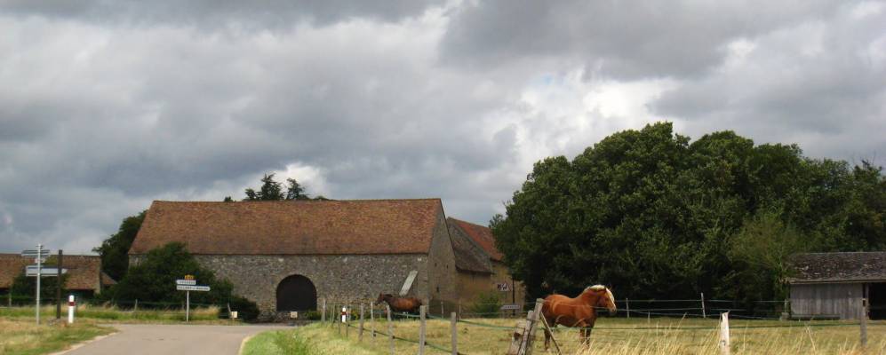 
            Фотография Флексанвиль