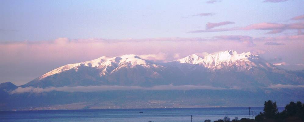 
            Фотография Веселого