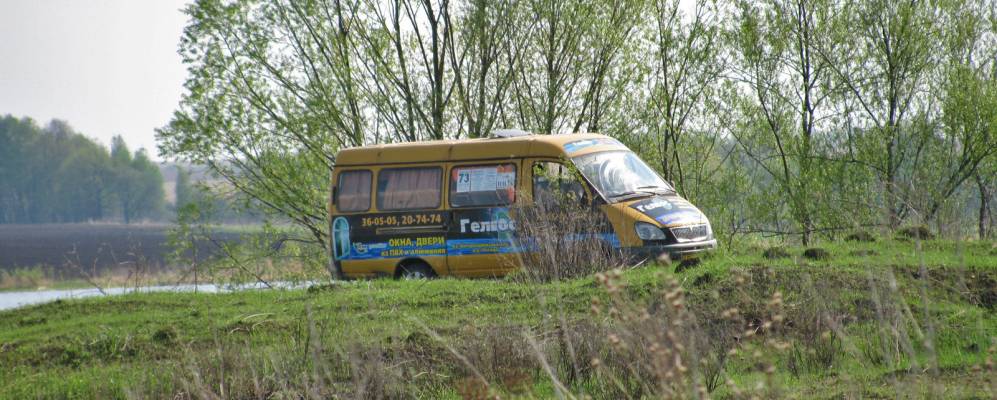 
            Фотография Алешни