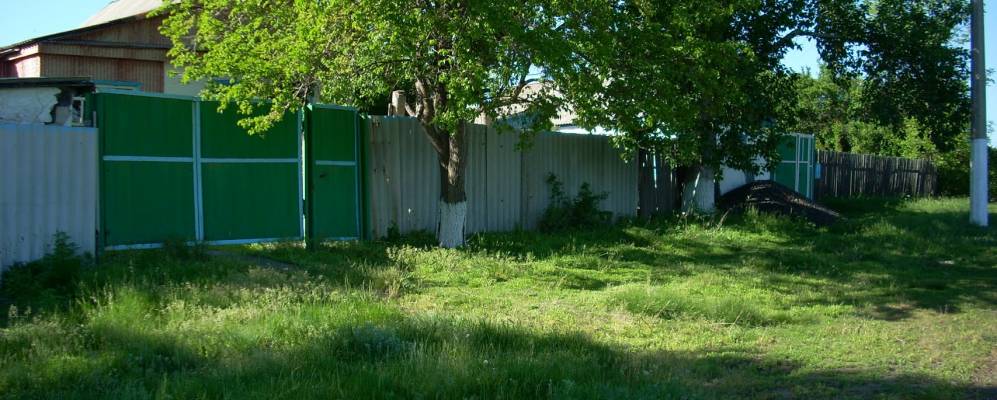 
            Фотография Коробкина