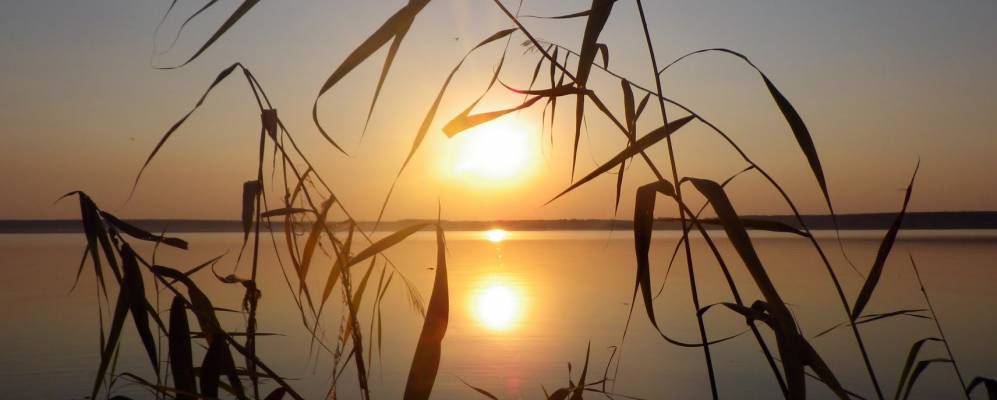 Фотография Кирпичиков